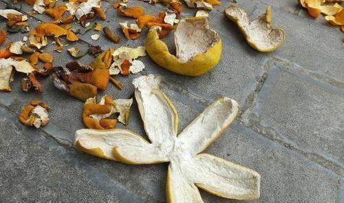 柠檬|改善肤质的好食物,女性记得常吃点,活血化瘀、调和脾脏,显年轻