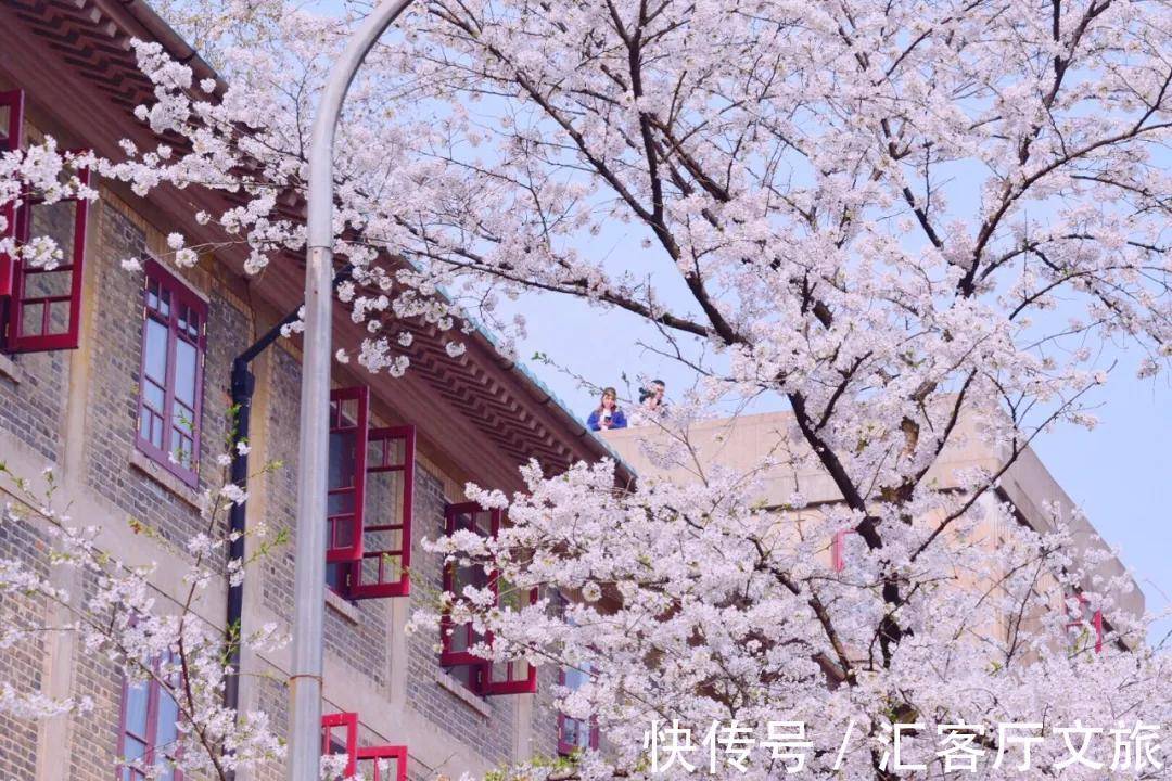 小火车|再过30天,世界又要被惊艳了!因为,中国的春天到了