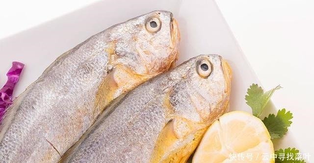 五种鱼都不能养,碰上就买吧!饮食过量对健康有益