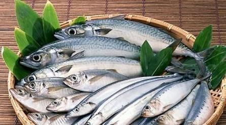 专家|冬天常吃鱼保护血管?专家提醒:三类鱼不要吃,可别吃错了!