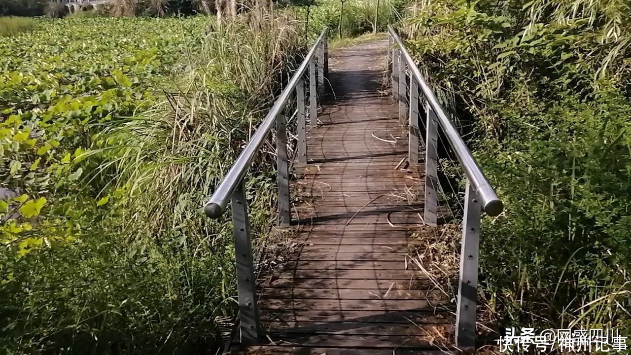 凤凰生态公园|蓬安凤凰生态公园风景美