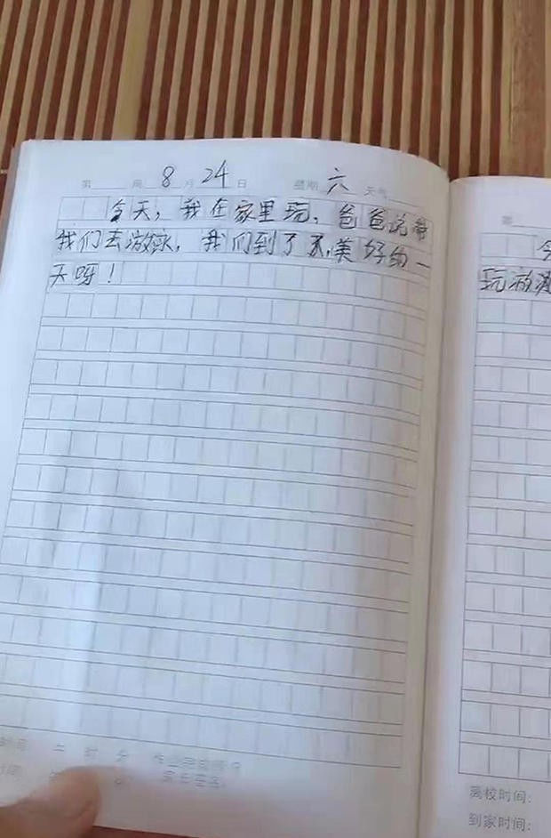 孩子|儿子“赶工期”写出来的日记，让妈妈无语，网友：有我当年的风范