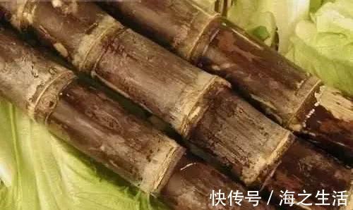 疾病|便秘的“死对头”，每天吃两口，排出宿便，远离疾病困扰