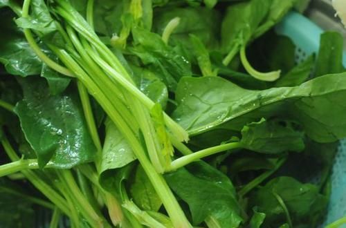 美容|人到中年想长寿,推荐多吃3种食物,美容养生,有益健康!