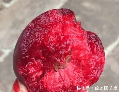 一个重达半斤,富含花青素,果肉鲜红剔透,比荔枝还好吃