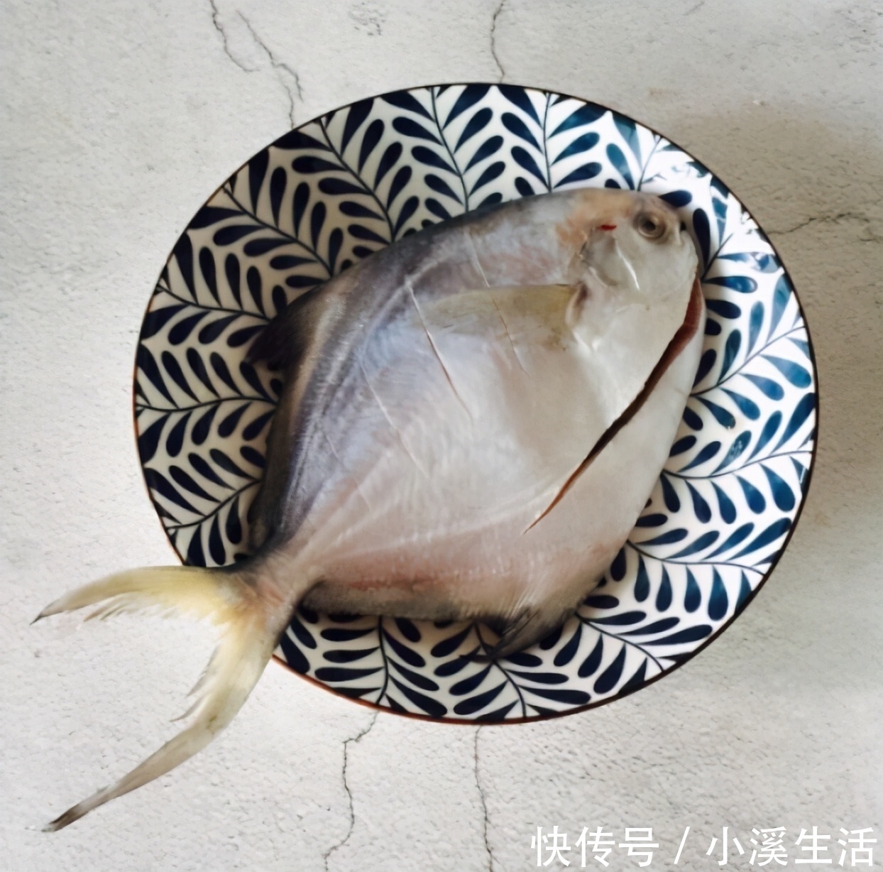 屋香|家庭版红烧鲳鱼,味道鲜美,制作简单,出锅满屋香