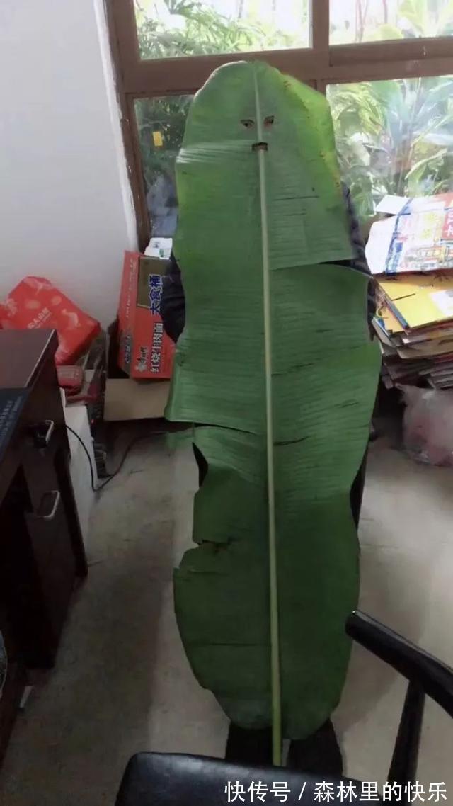 |男朋友:我太难了 冷段子1381 & 去年今日1071