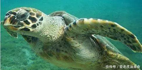 这6种宝石堪比珠宝界中的“军火”,如今竟买不到