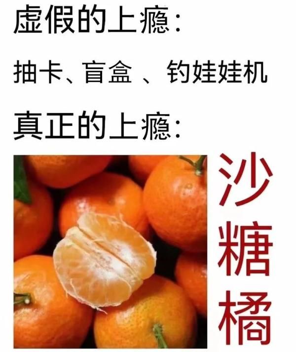 热搜|砂糖橘冲上热搜！网友：太上头了，再吃下去我妈要揍我！