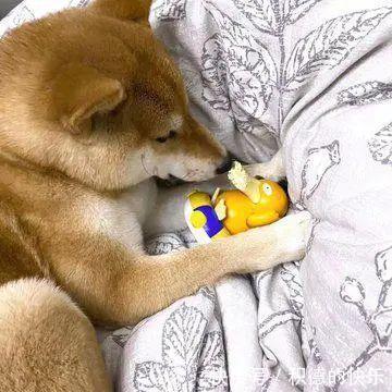 |男朋友敷衍起来是什么样 冷段子1464 & 去年今日1155