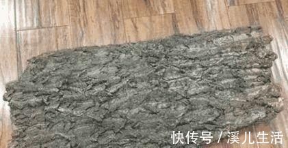 养兰花，盆里加点“它”，兰根不腐，根壮叶绿，兰花开满枝头