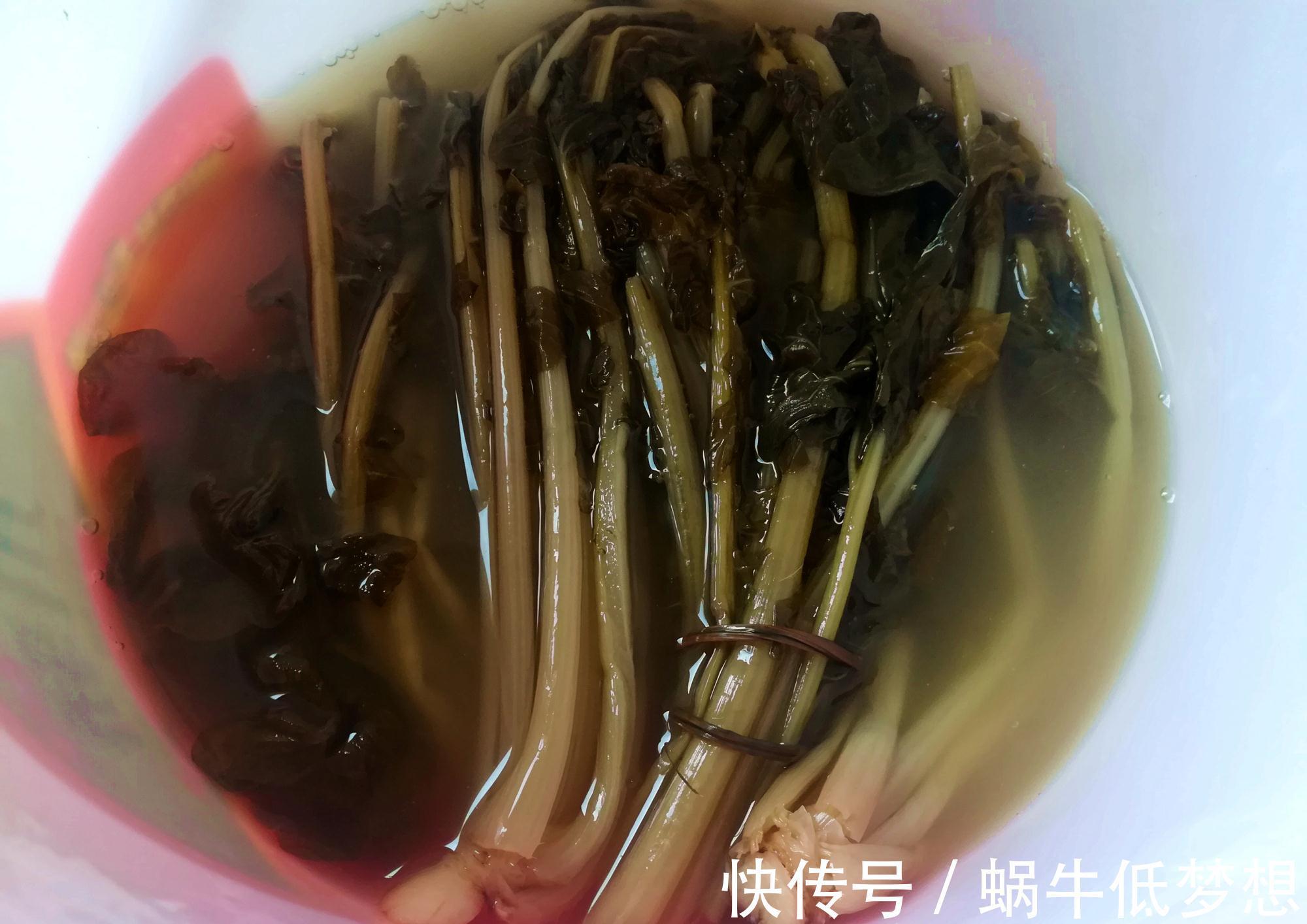 蔬菜中的“人参”,叶子营养极高,10月正鲜嫩,做成酸菜特下饭
