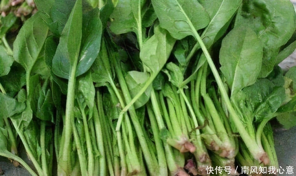 会吃的人最健康,3种食物离不开,排毒清肠,延缓衰老,早吃早好