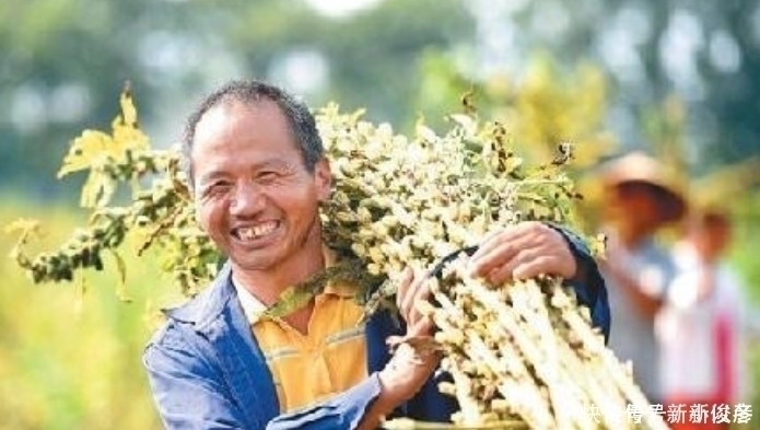 烧烤|为何“尿毒症”越来越多尽量少碰这3物,肾可能会“感激”你