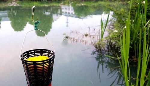 清明过后鲫鱼应该这样钓，几个常用老套路，让你轻松钓到的大鲫鱼