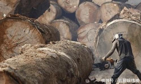 水泥|带大家认识“灌了钢筋和水泥”的千斤实木大板，你还会上当吗