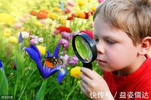 记忆力|3-6岁是右脑开发黄金期，5个方法，给孩子一个“超强大脑”