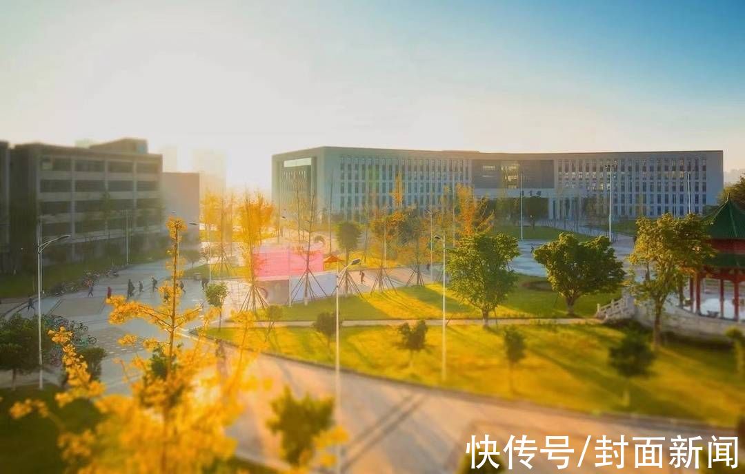 成都信息工程大学|多图警告｜数数川内高校到底承包了多少棵银杏树？