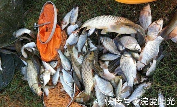 冬季钓鱼,钓组这样搭配更灵敏,不影响信号传递,可以大小兼顾!