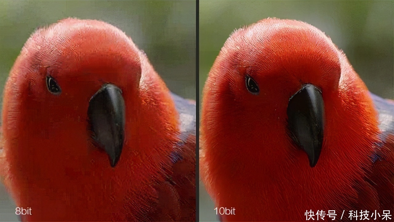 黑洞新照曝光!比兩年前細節更高清,人類探索宇宙又近一步