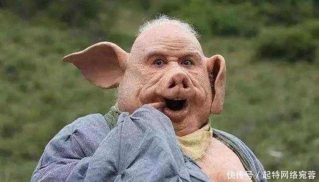 神器|猪八戒身怀两件神器,一个九齿钉耙,另一个是什么?