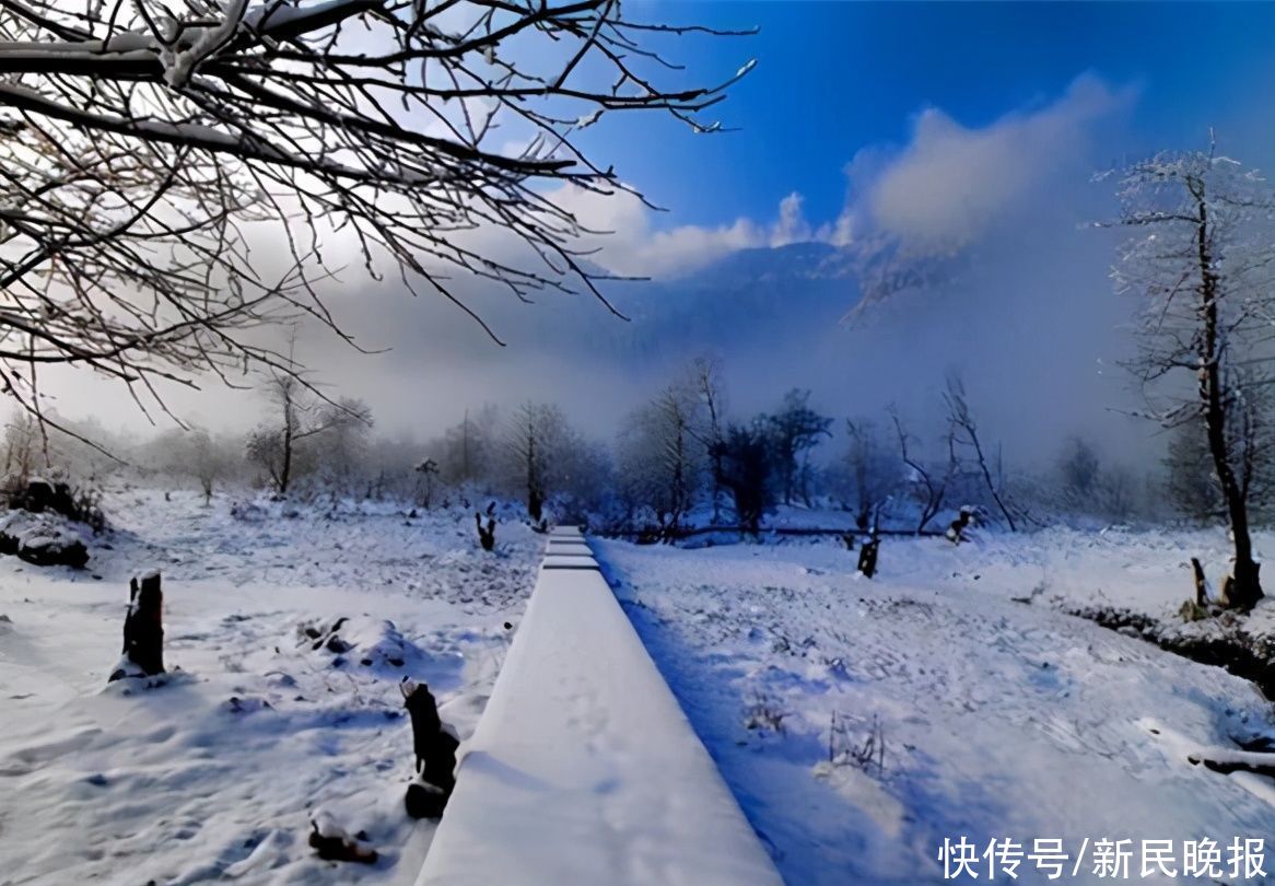 四川黑竹沟自带神秘光环