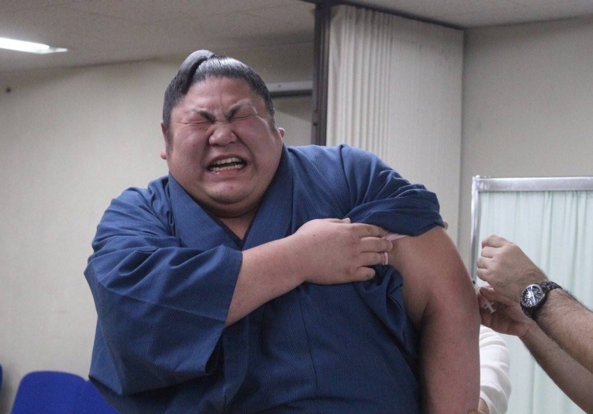 日本|在日本，女星为什么都想嫁给长相丑陋的相扑选手真不是为了钱