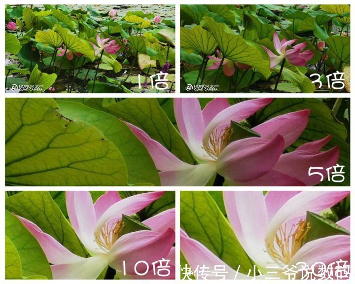 荣耀9|写在荣耀60发布之前--我的荣耀数字之路