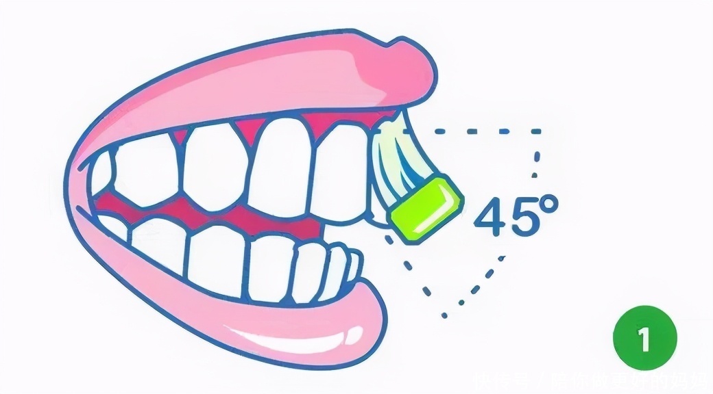 阶段|不同年龄阶段的宝宝如何正确刷牙？宝妈有必要学习一下~