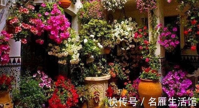 厨房2种废渣是天然花卉增长素,1把扔盆里,养啥都旺