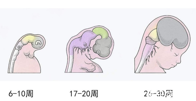 当家长|剑桥研究表明:父母做这些事情,将延缓孩子大脑的发育