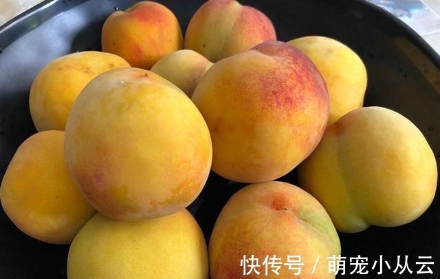 毛桃|爱吃桃子的要留意了,我也是刚刚才知道,抓紧告诉家里人
