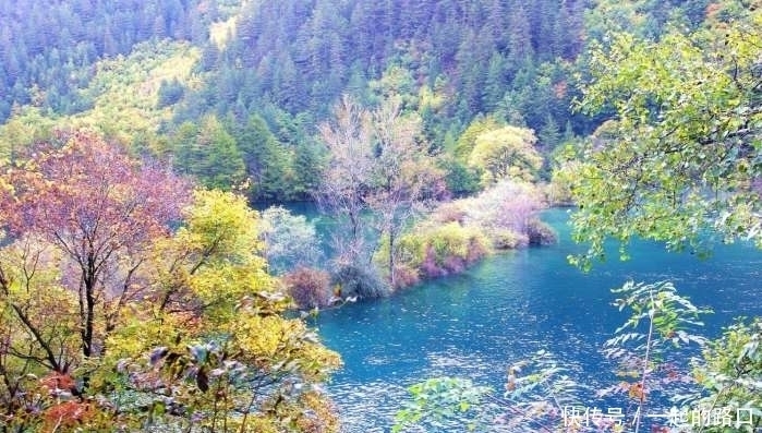 九寨沟火花海——这个绝美的海子, 我们将永远记得它的美丽