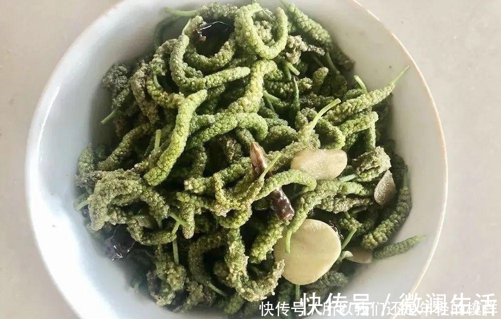 食用价值|这种树上野菜，儿时一摘数十斤，上锅一蒸就是美味，城里很难买到