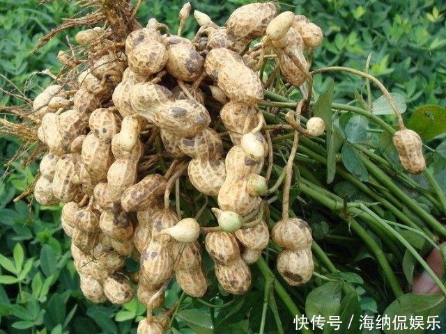 表层|一到冬天皮肤总是干痒难忍,皮屑横飞,五大秘诀帮你皮肤更水润