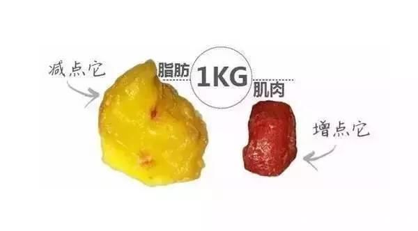 有氧运动|减肥瘦下来后，为什么会显老?一招避免减脂后衰老的困扰