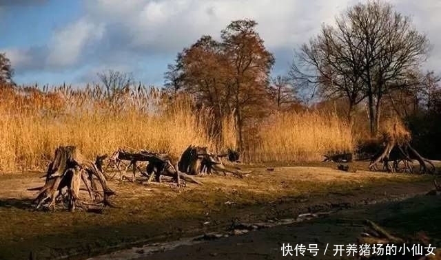 少女|18张图都隐藏着少女,找出6个正常,9个聪明,14个以上天才