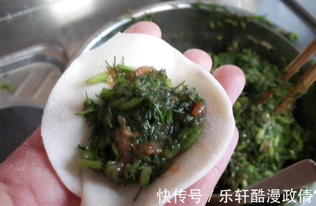 回味无穷|包饺子用这个菜，比韭菜香味还浓，拌饺子馅鲜香味美，回味无穷