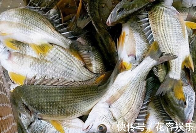 上市场买鱼,就挑4种,肉厚刺少,味道鲜美,孩子爱吃父母放心
