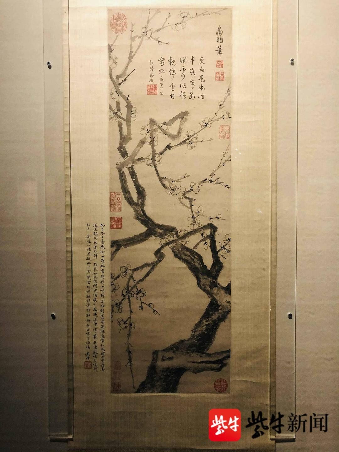 从宋徽宗到傅抱石，南京博物院院藏花鸟画精品展看尽千年风华