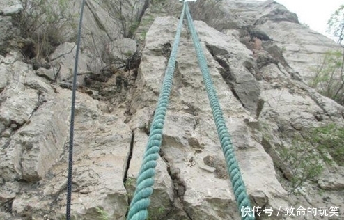 崖柏|带你走进深山的采崖柏人,有人靠它赚上亿,有人因此丧命,太珍贵