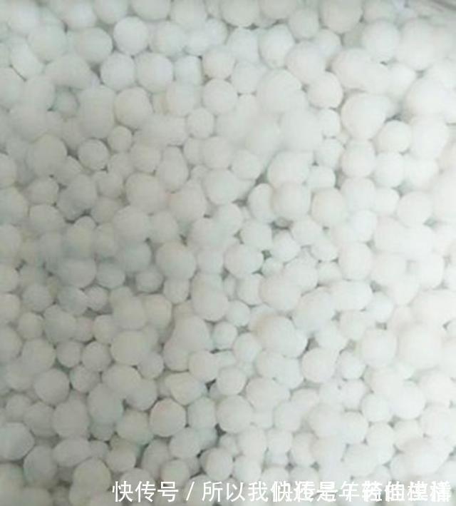 骨头|氮磷钾肥在家就能自制,方法简单肥效好,只要动动手肥料钱都省了