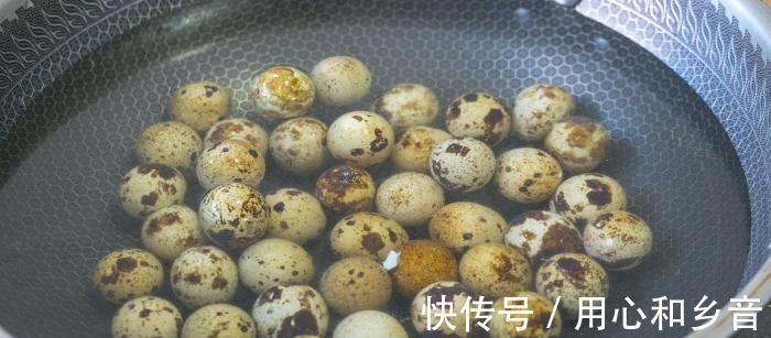 鹌鹑蛋被称“动物中的人参”，要做给孩子吃，教你最营养简单做法！