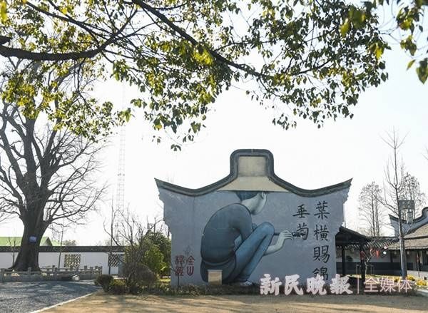 乡愁寄此乡|从“枫泾最弱”到网红打卡 这个小乡村在振兴之路上越走越宽| 山西