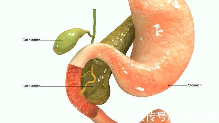 腹痛|胰腺癌：从确诊到死亡不足2个月！这些症状，都是它的“敲门声”