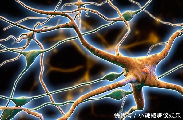 血管决定寿命长短,104岁老人血管年轻且不堵,原因竟是这3件事