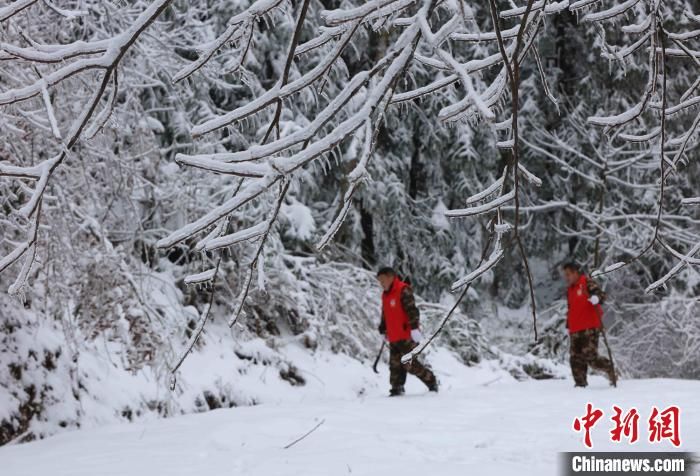 湖南|湖南张家界：寒冬踏雪护山林