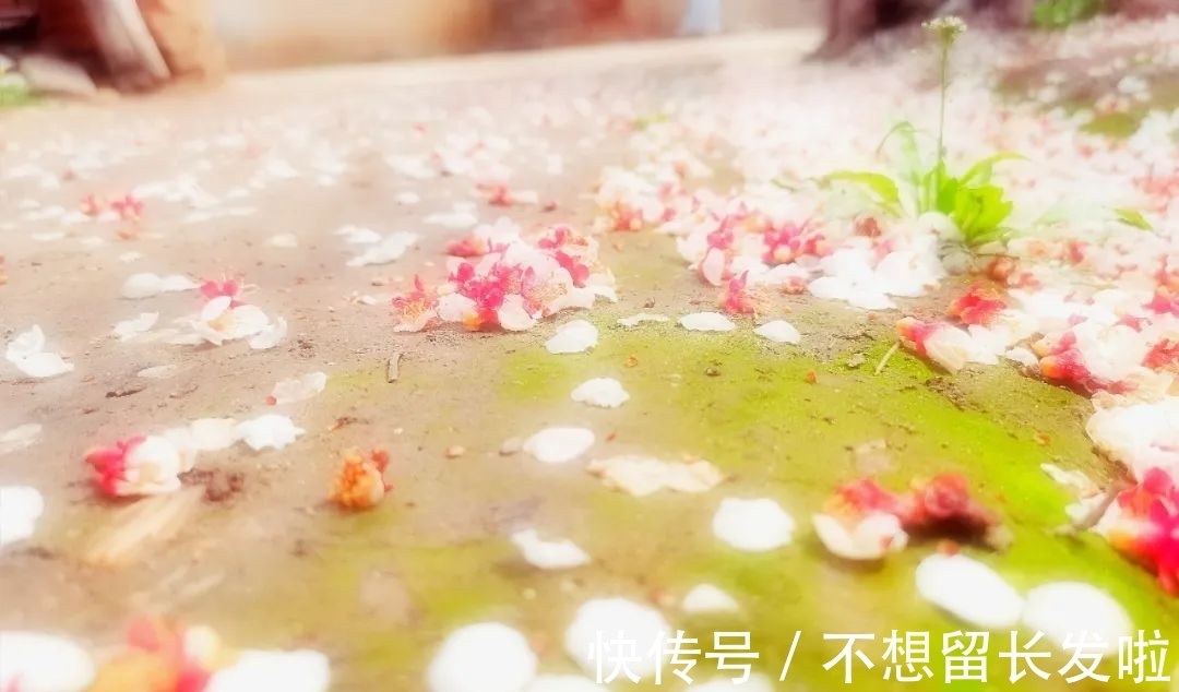 眼前人!晏殊最经典的10首宋词,语言美,意境美,每一首都值得背诵