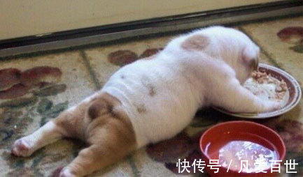 |搞笑动图:我就含在嘴里不吃,逗你玩!