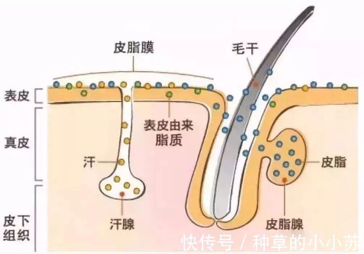 护肤品|超市“隐藏”的几种护肤品，摆在货架上无人问津，却便宜又好用